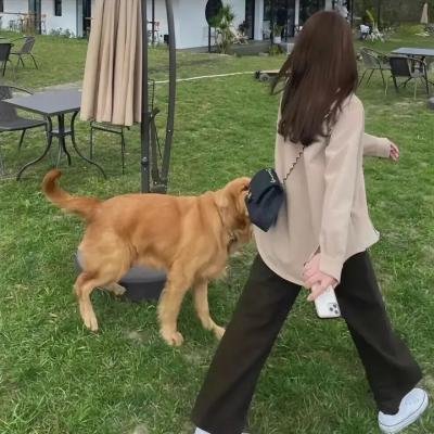 母鹿
